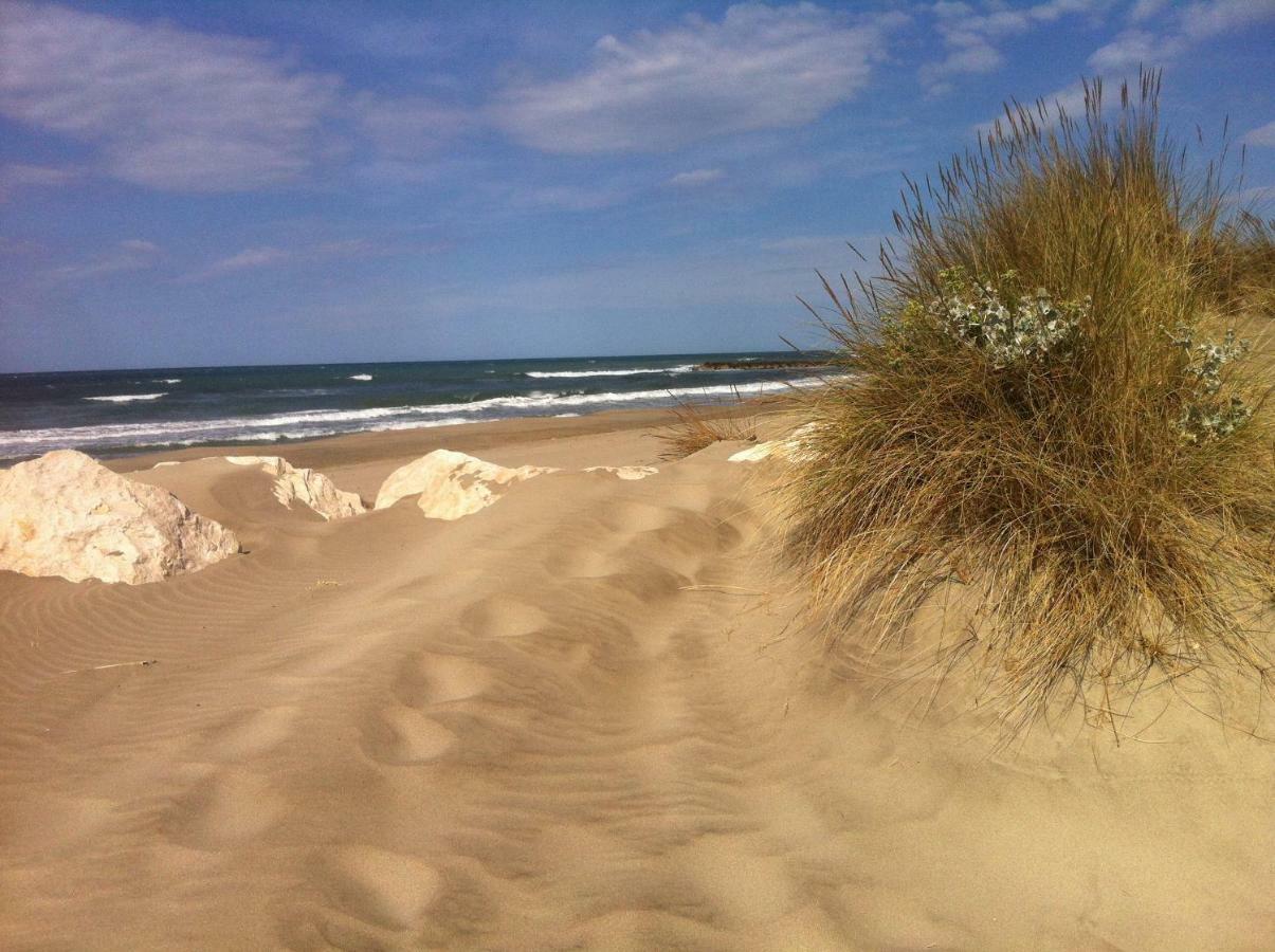 Maebrilu Camargue Provence Bed & Breakfast Salin de Giraud Bagian luar foto
